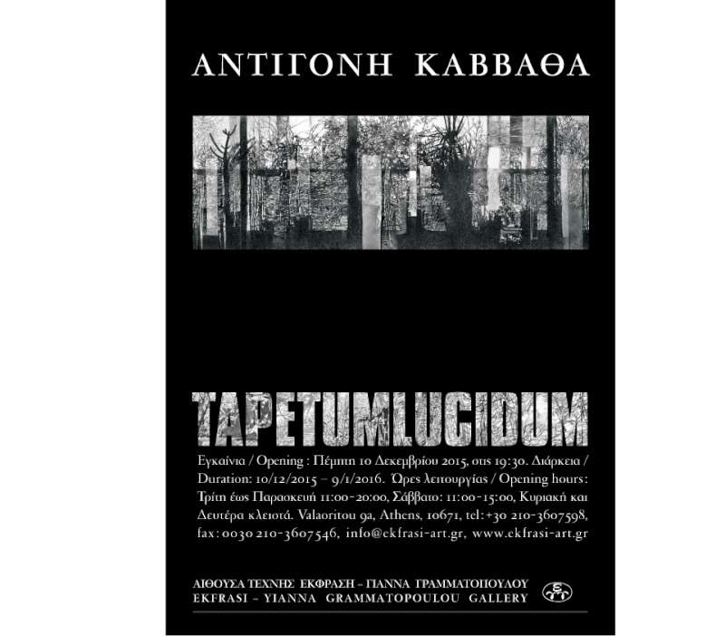 Tapetum Lucidum